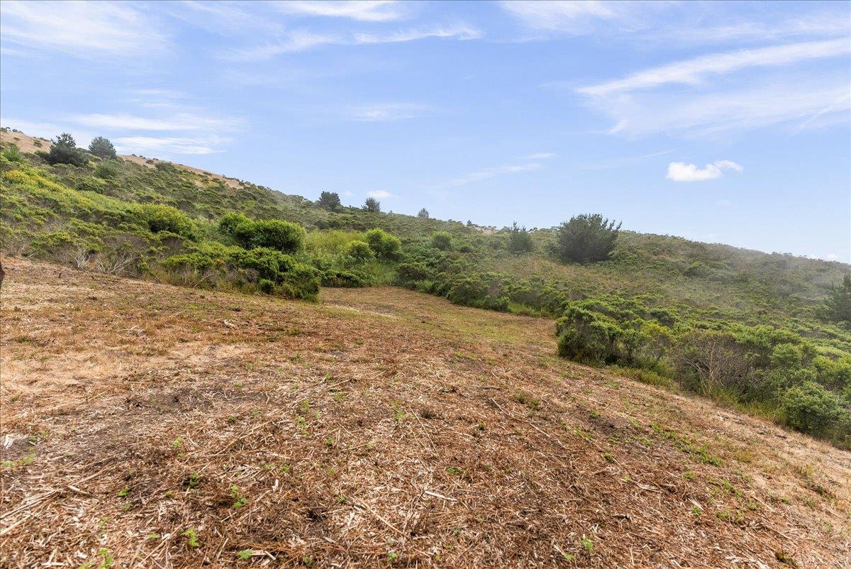 0 Stage Road San Gregorio, CA 94074 - Photo 14 of 48 a view of a mountain with mountains in the background
