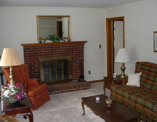 2246 Blue Ridge Springs Road Blue Ridge, VA 24064 - Photo 5 of 5 a living room with furniture and a fireplace