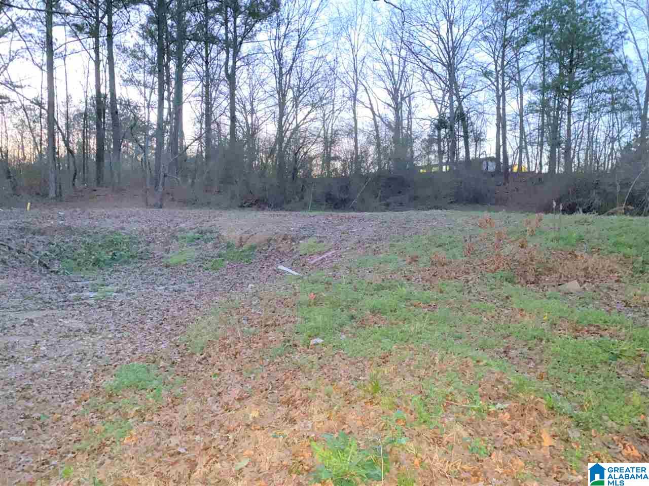 167 Liberty Road, Unit 1 3 AC Odenville, AL 35120 - Photo 1 of 2