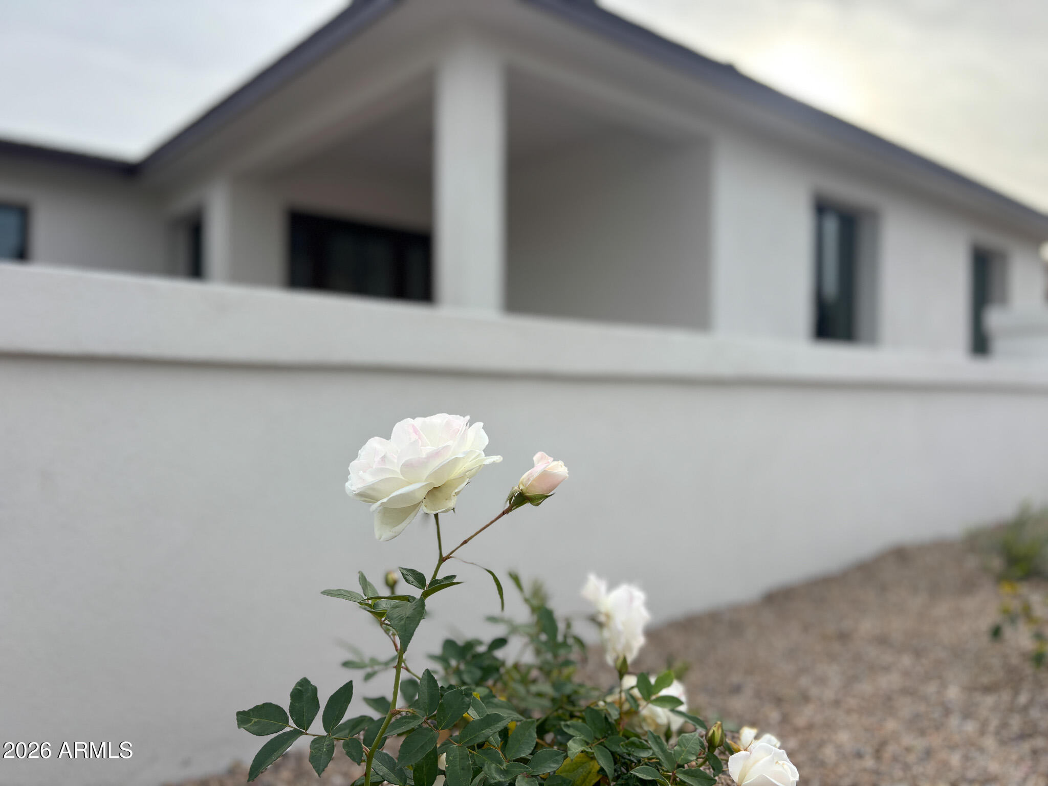 3131 East Las Rocas Drive Phoenix, AZ 85028 - Photo 2 of 22 LR-02