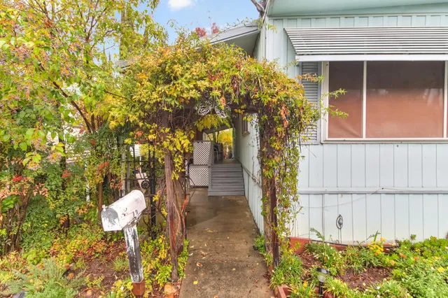 a view of a pathway of a house with flower plants