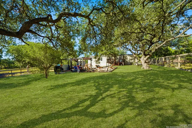 a view of a park with large trees