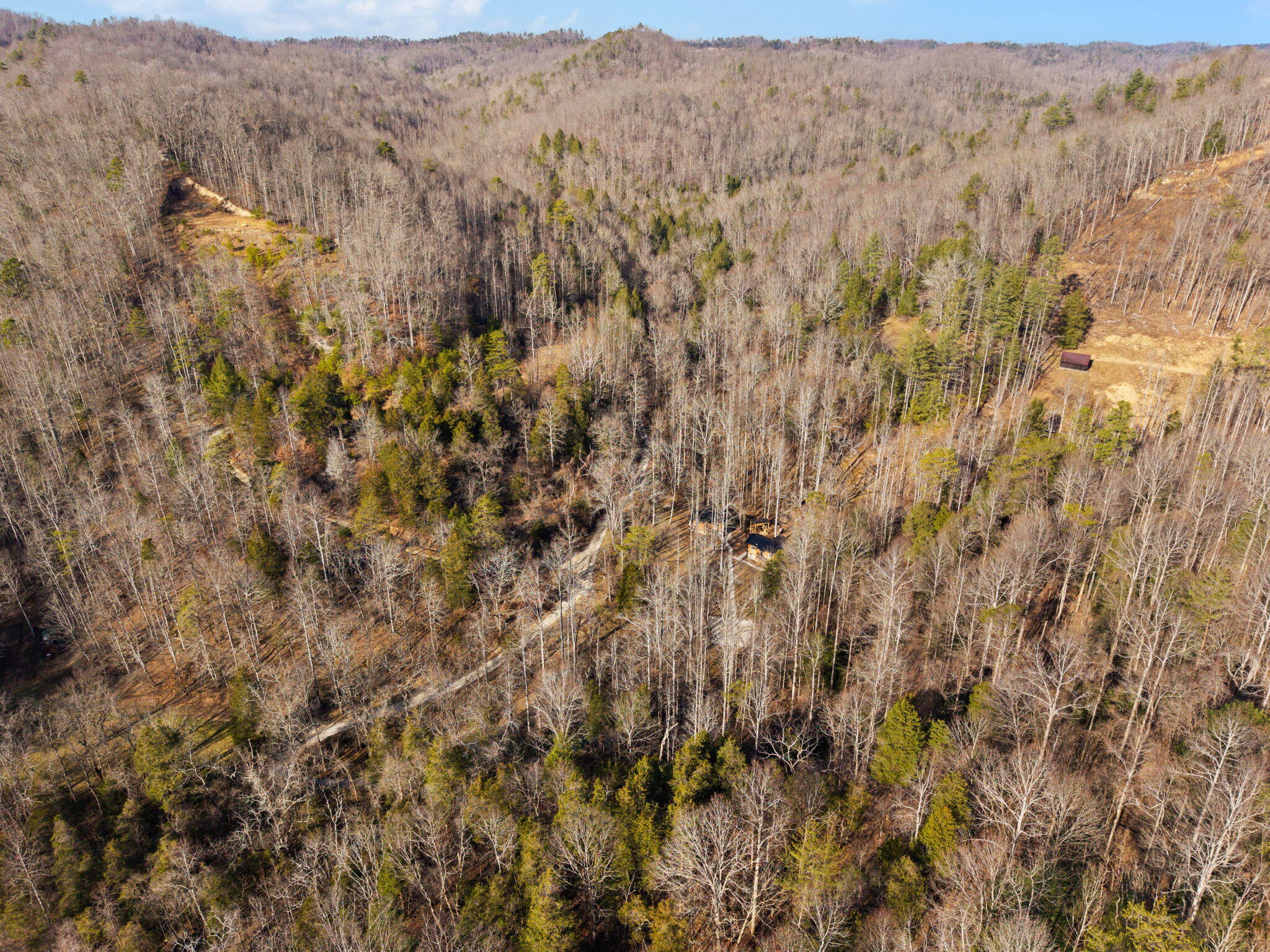 22 Still Hand Zoe, KY 41397 - Photo 59 of 76 76-web-or-mls-DJI_20260107142126_0057_D