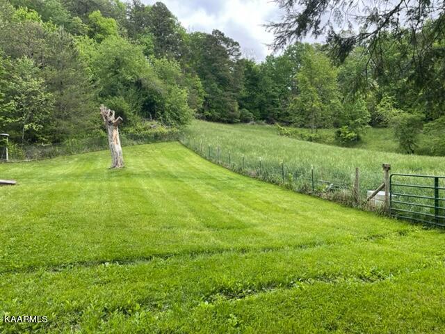 214 Robinson Road Tazewell, TN 37879 - Photo 11 of 36 backyard and field