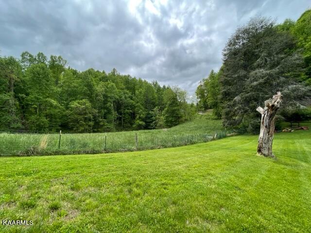 214 Robinson Road Tazewell, TN 37879 - Photo 12 of 36 back field