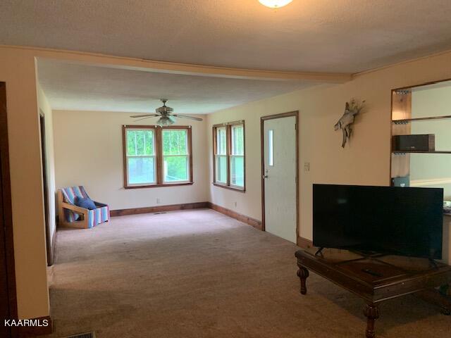 214 Robinson Road Tazewell, TN 37879 - Photo 17 of 36 livingroom