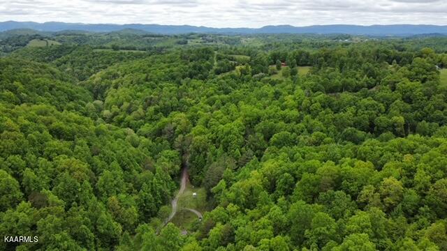 214 Robinson Road Tazewell, TN 37879 - Photo 4 of 36 Down the hollow