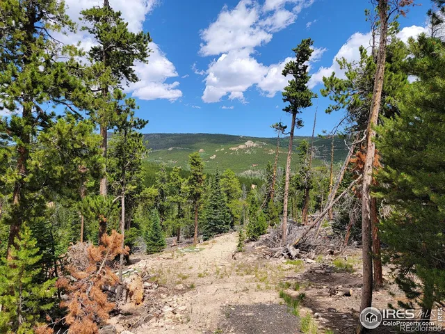 $95,000 | 50 Carrier Way, Red Feather Lakes, CO 80545