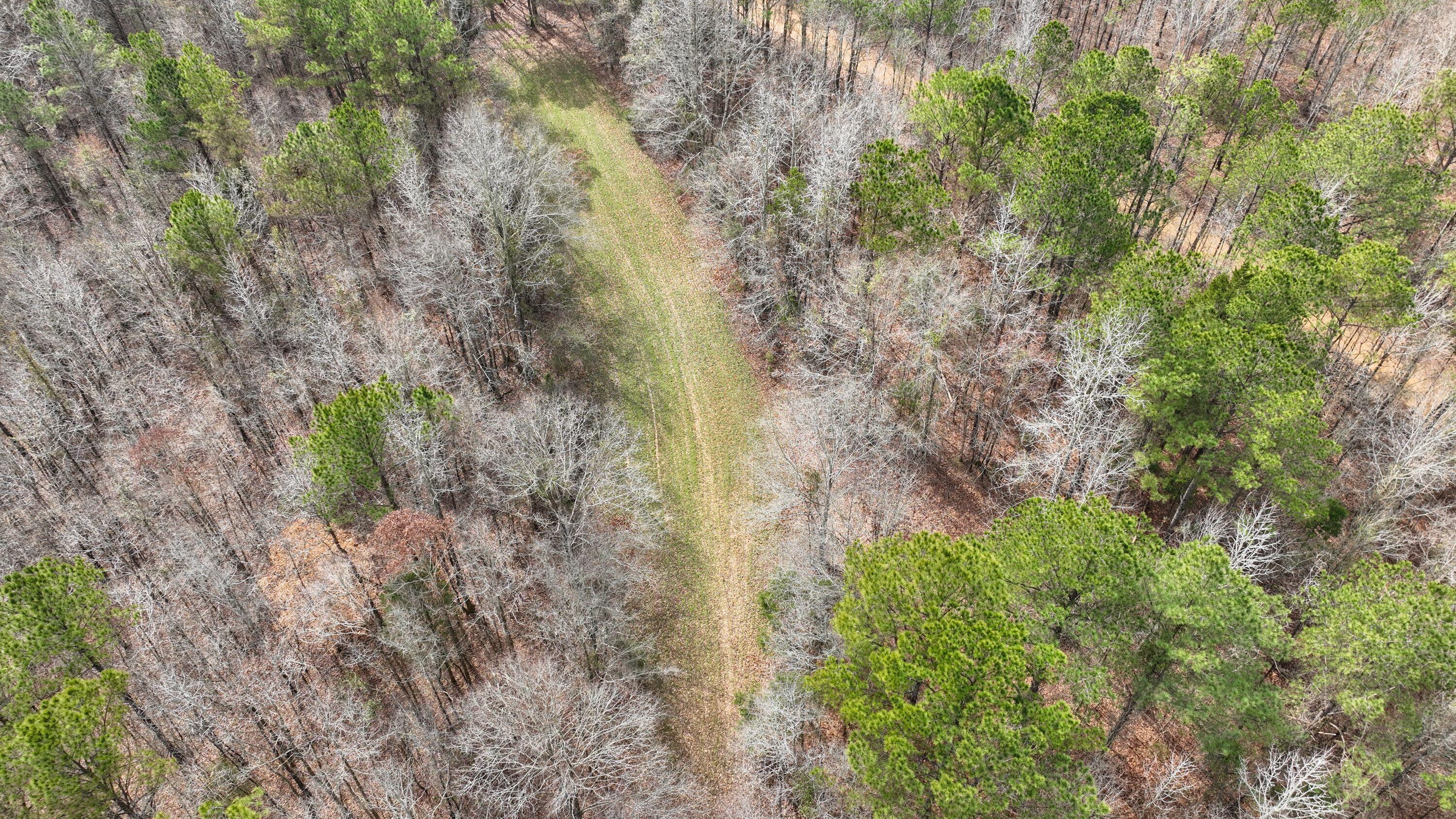 731 Wright Road Tremont, MS 38876 - Photo 39 of 76 Gallery Image 39