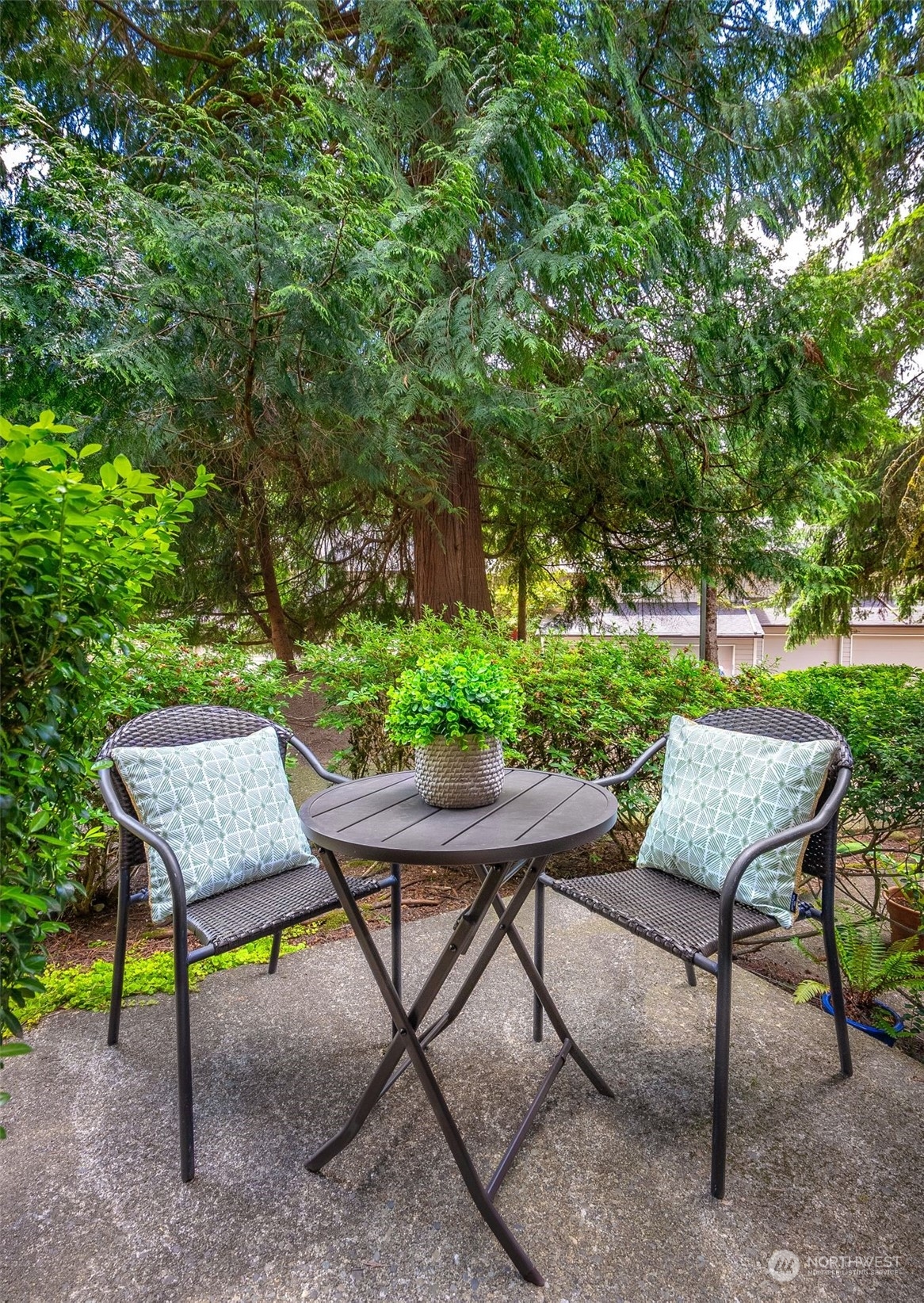 1555 Union Avenue Northeast, Unit 36 Renton, WA 98059 - Photo 5 of 17 Gallery Image 5