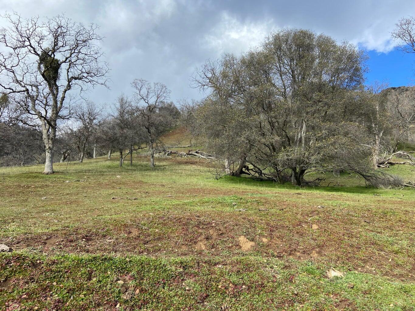 0 South Fork Drive Three Rivers, CA 93271 - Photo 1 of 1 20250218223232917605000000-o