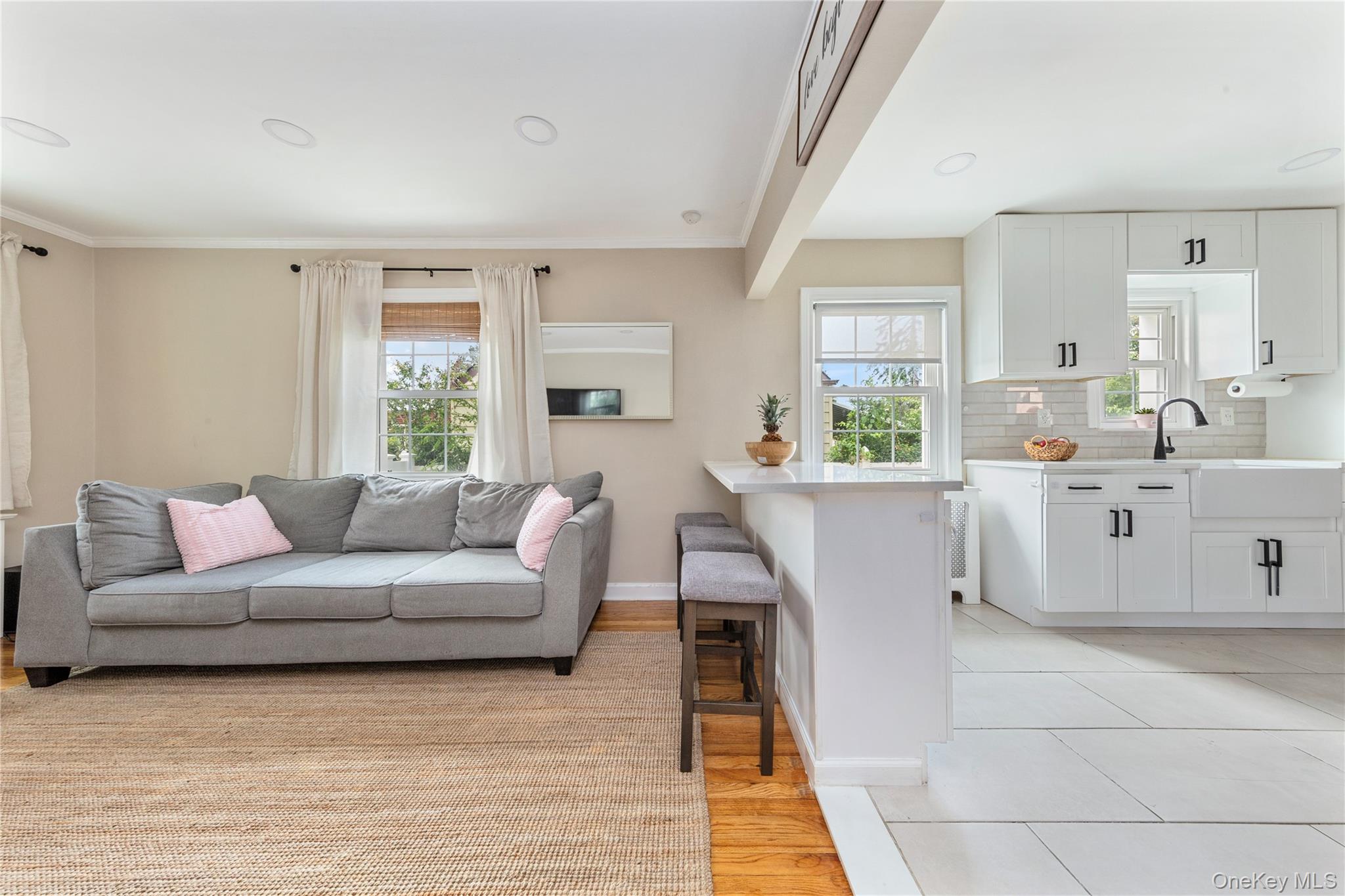 11 Dewitt Street Valley Stream, NY 11580 - Photo 9 of 21 Living room featuring ornamental molding and light wood-style flooring