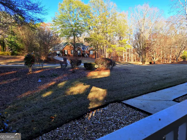 a view of yard with tree in front of it