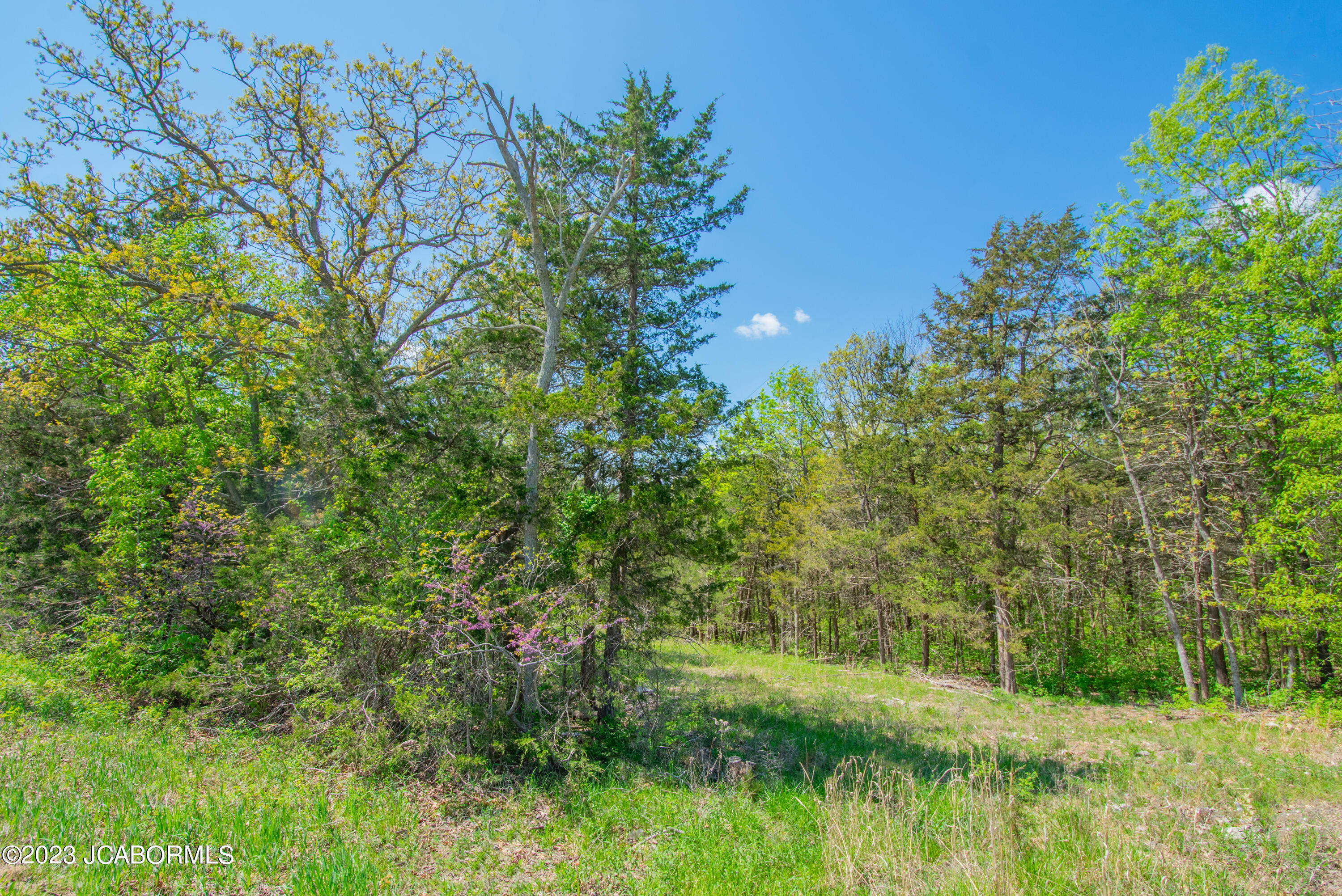 5225 Zion Road Jefferson City, MO 65109 - Photo 1 of 1