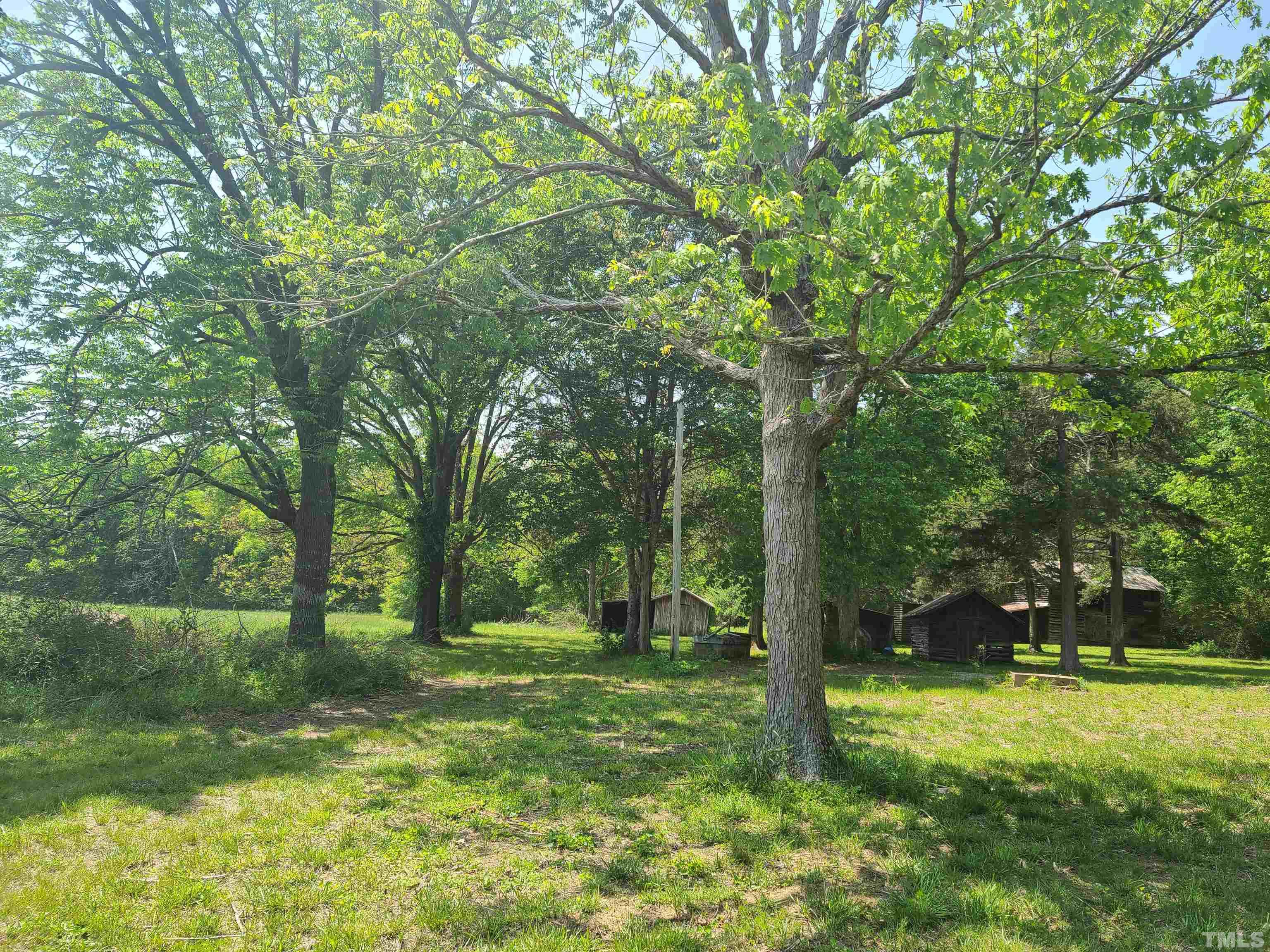 740 Bernard Purvis Road Bennett, NC 27208 - Photo 13 of 23 a backyard of a house with lots of green space