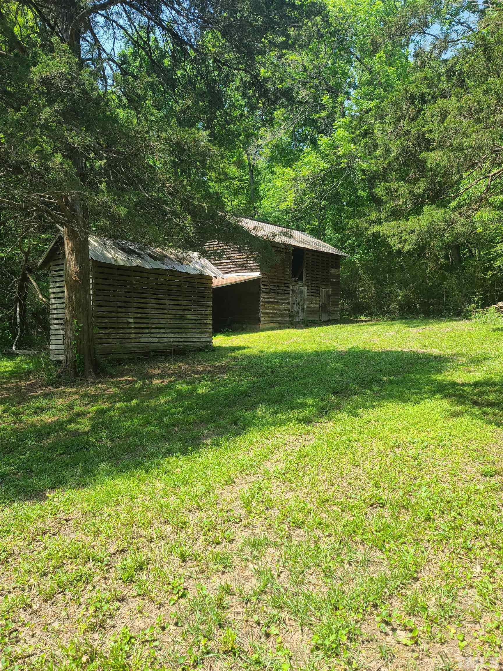 740 Bernard Purvis Road Bennett, NC 27208 - Photo 17 of 23 a backyard of a house with plants and large trees