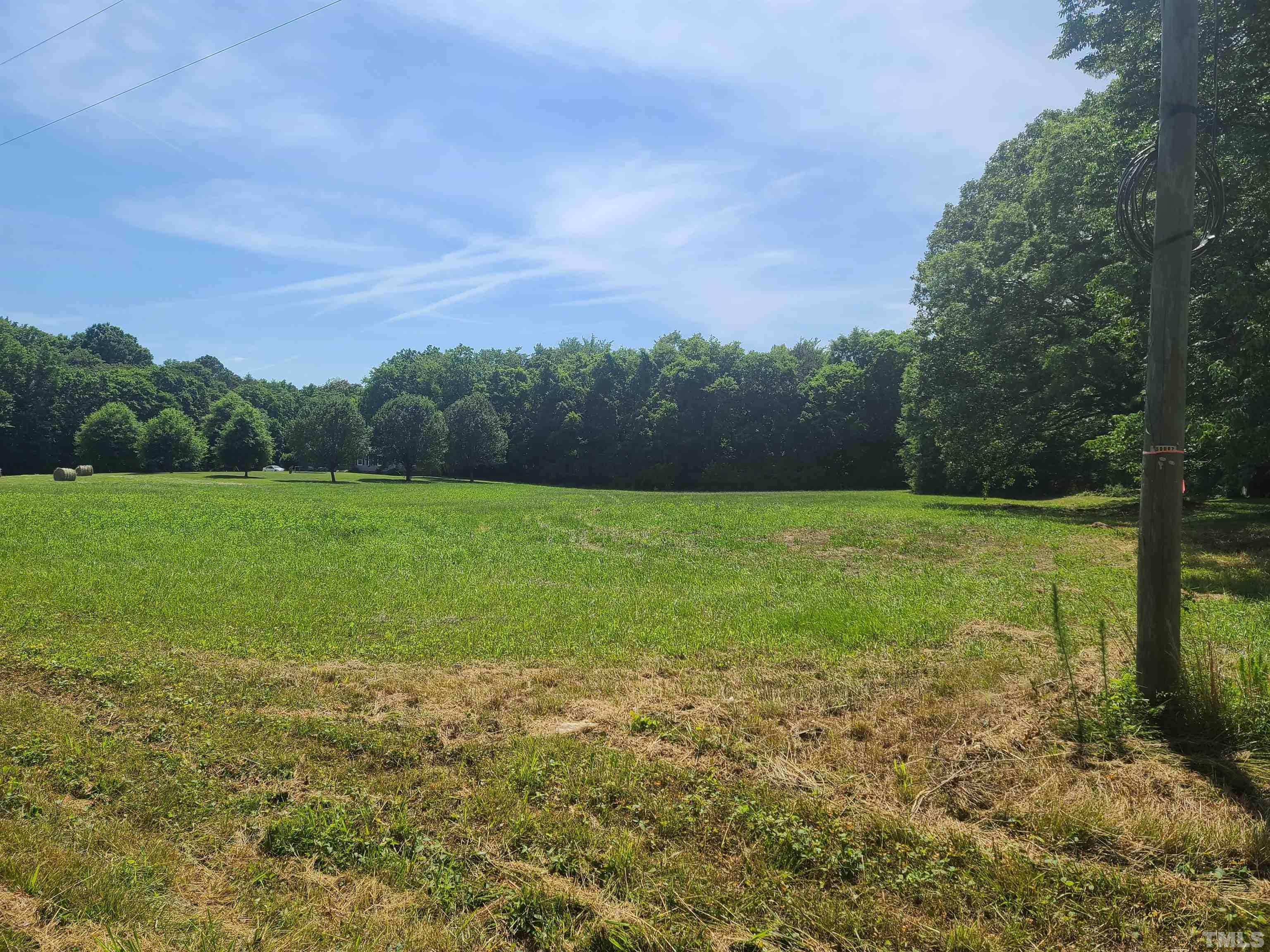 740 Bernard Purvis Road Bennett, NC 27208 - Photo 18 of 23 a view of a green field with a tree