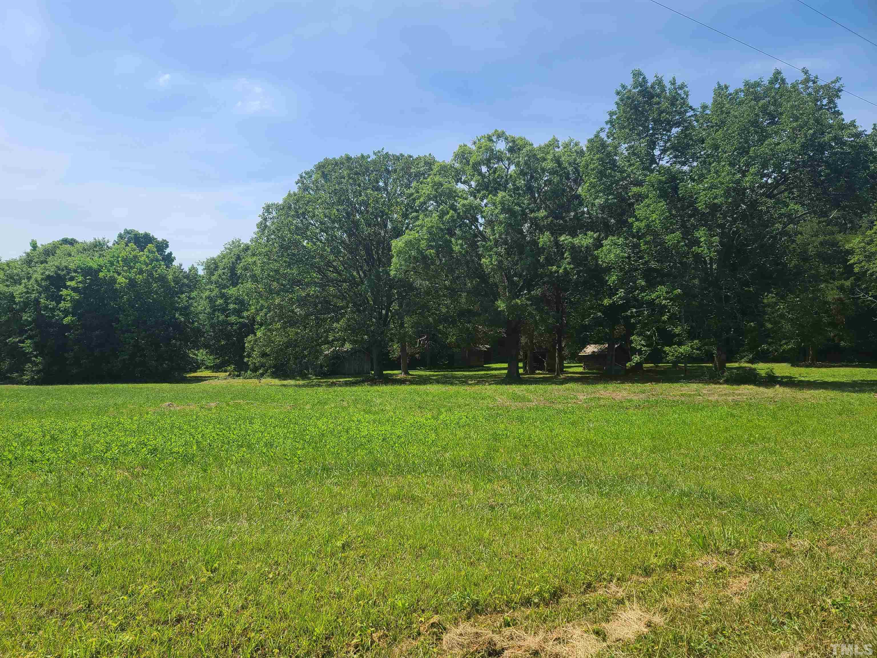740 Bernard Purvis Road Bennett, NC 27208 - Photo 19 of 23 a view of a grassy field