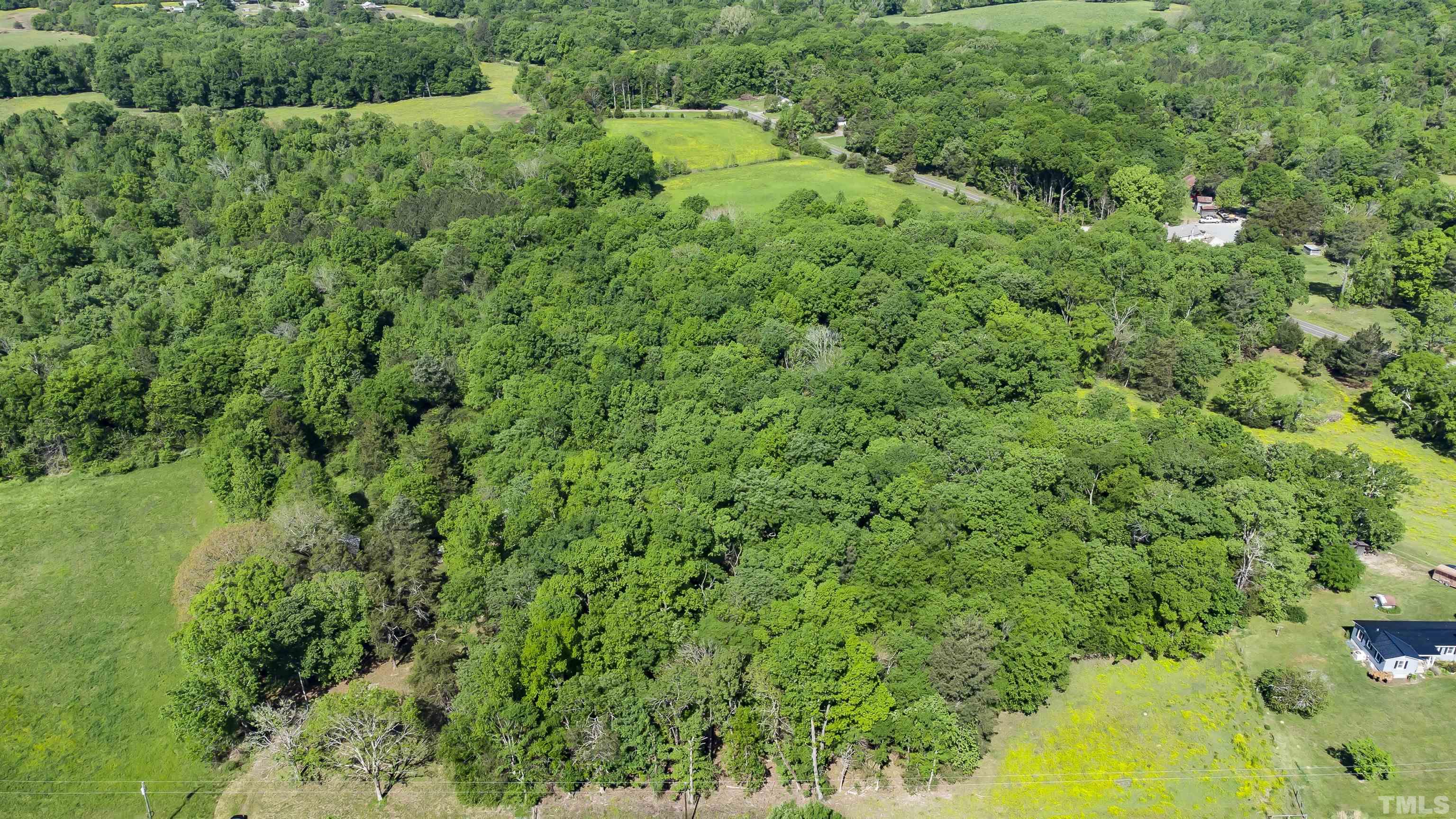 740 Bernard Purvis Road Bennett, NC 27208 - Photo 4 of 23 a view of a lush green forest with lots of trees