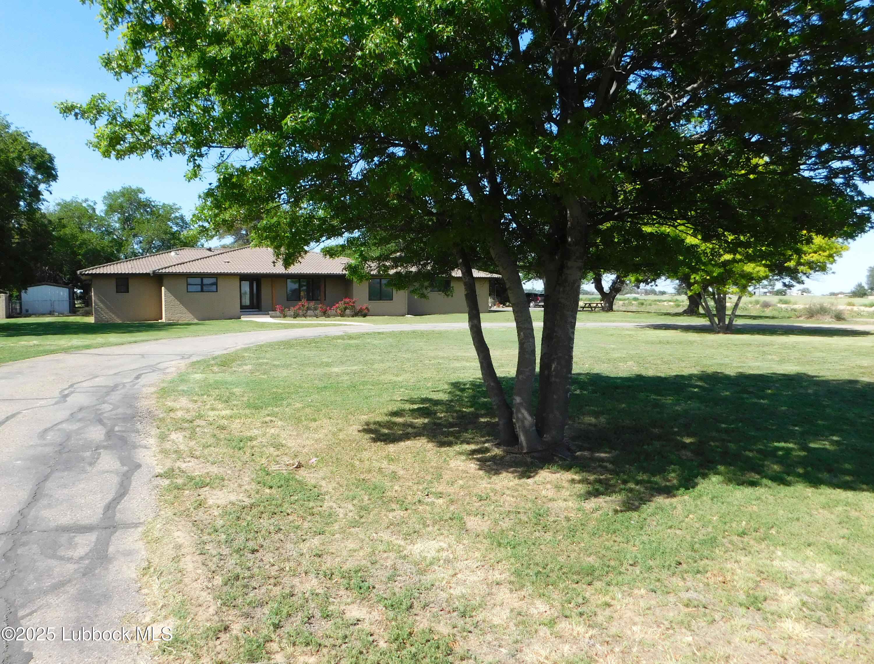 1925 Highway 70 Muleshoe, TX 79347 - Photo 2 of 49 a view of backyard with green space