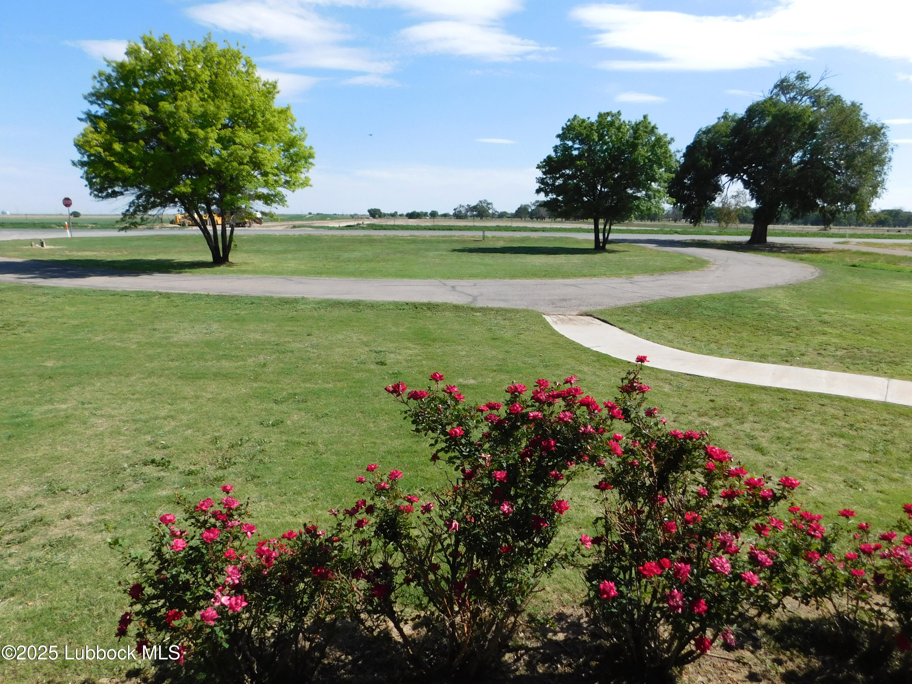 1925 Highway 70 Muleshoe, TX 79347 - Photo 4 of 49 a view of a garden with an trees