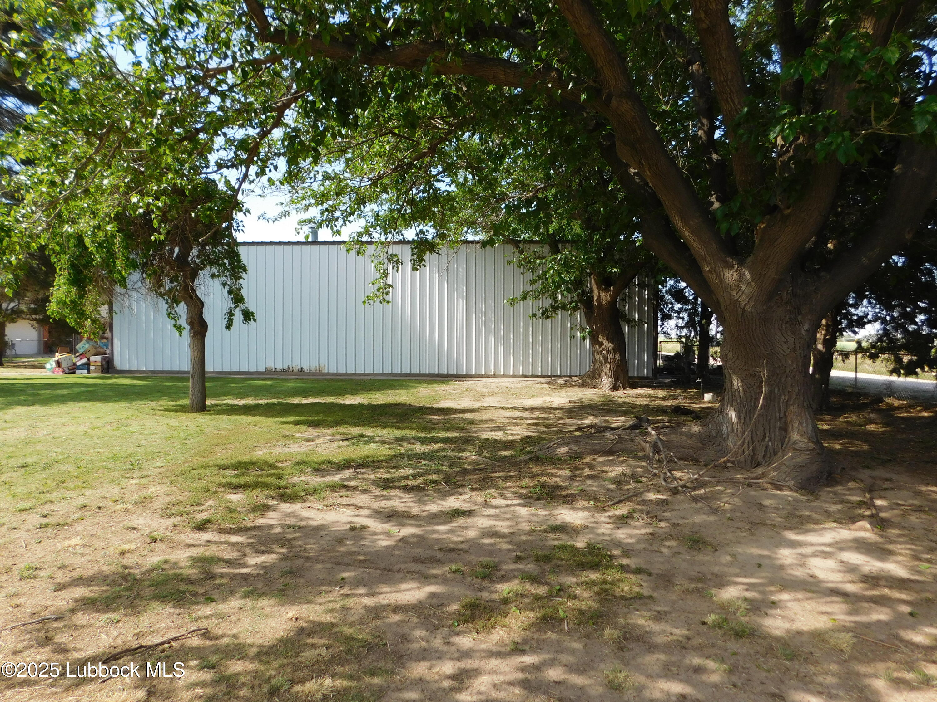1925 Highway 70 Muleshoe, TX 79347 - Photo 47 of 49 a view of a tree is standing in front of a house