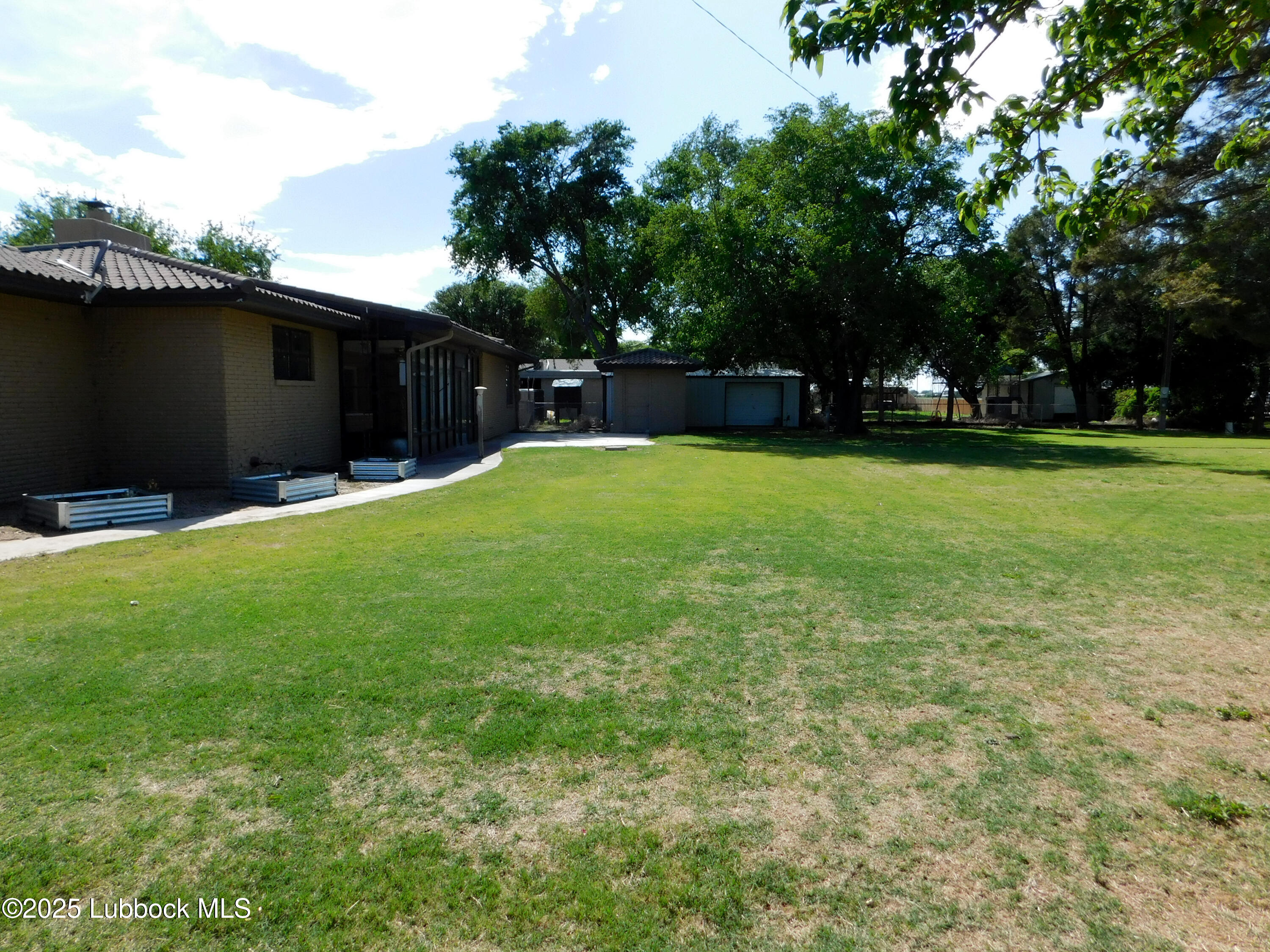 1925 Highway 70 Muleshoe, TX 79347 - Photo 48 of 49 a backyard of a house with lots of green space