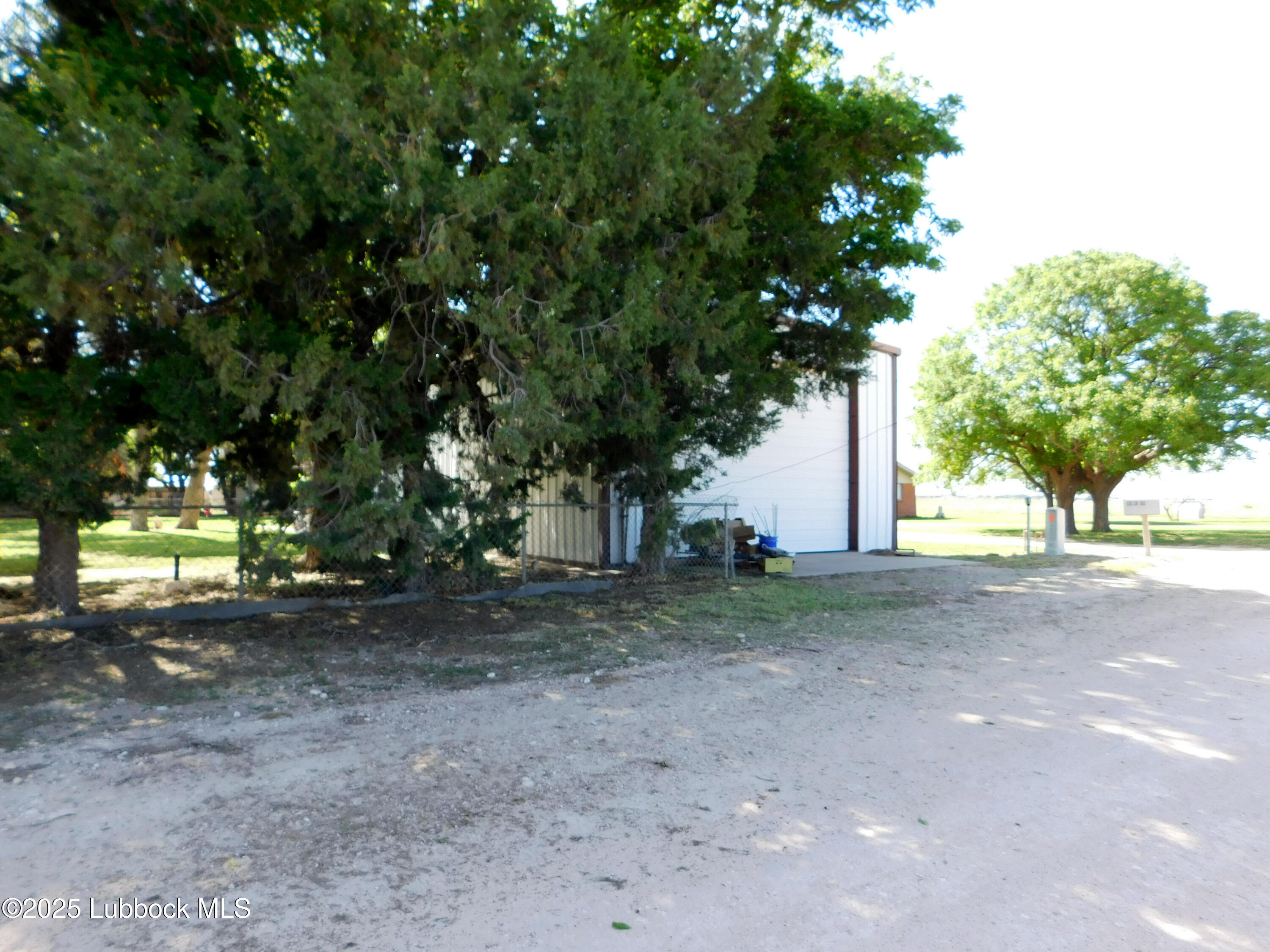 1925 Highway 70 Muleshoe, TX 79347 - Photo 49 of 49 a view of a yard with a tree