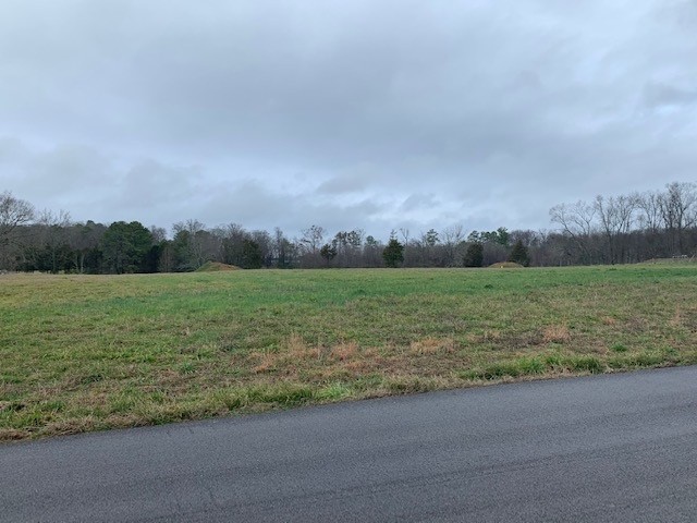 0 Million Road Southeast Cleveland, TN 37323 - Photo 1 of 3 a view of a field with an ocean view