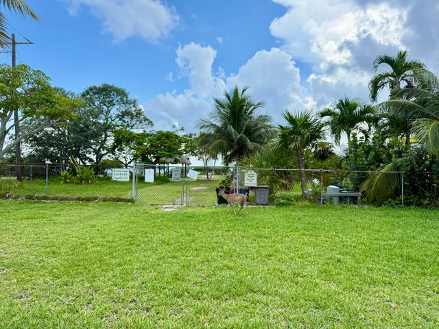 a view of a park with large trees