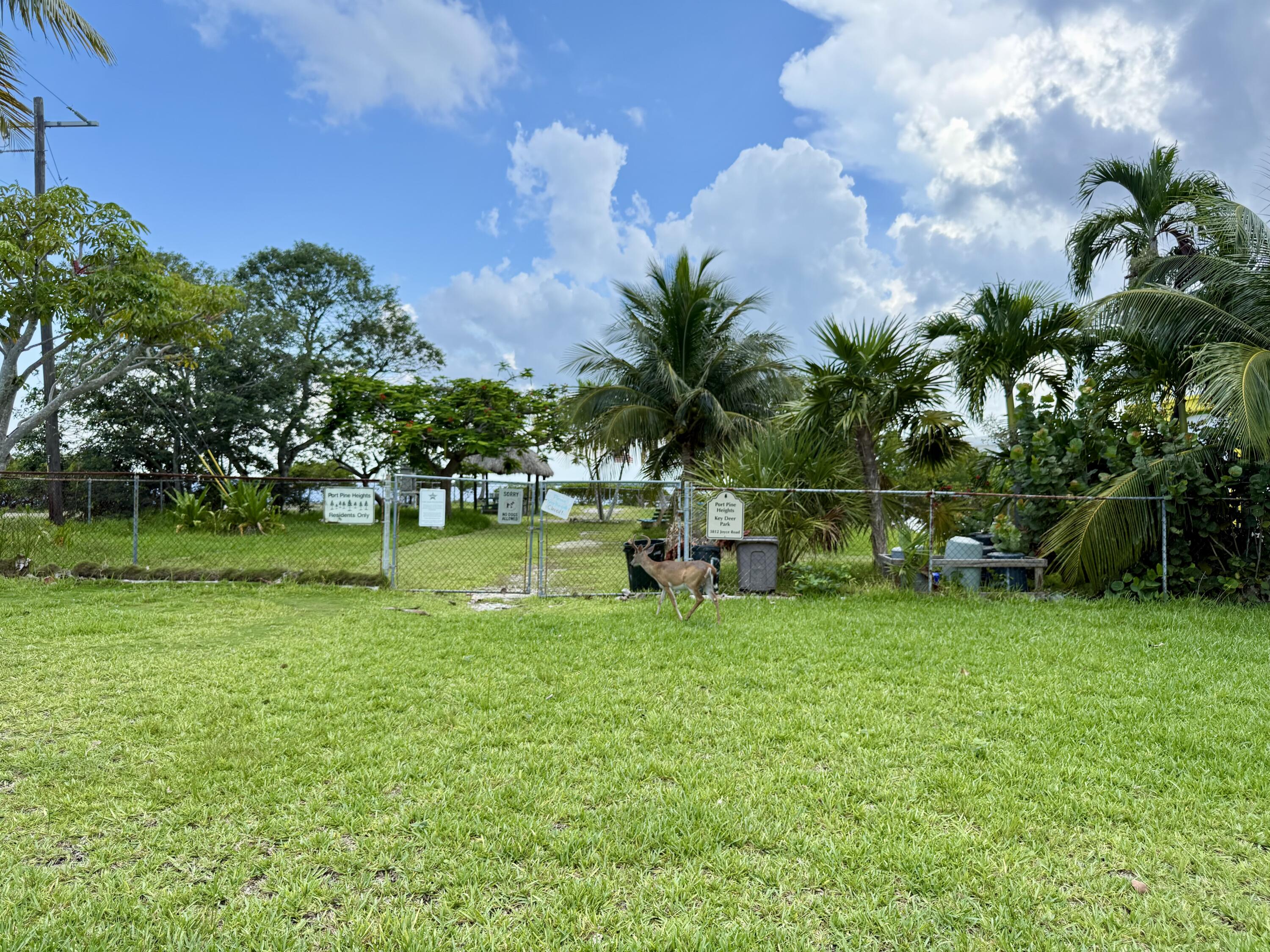 3962-3964 No Name Road Big Pine Key, FL 33043 - Photo 8 of 26 a view of a park with large trees
