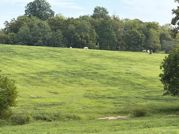 $200,000 | 1061 Harrods Creek Road, Paris, KY 40361