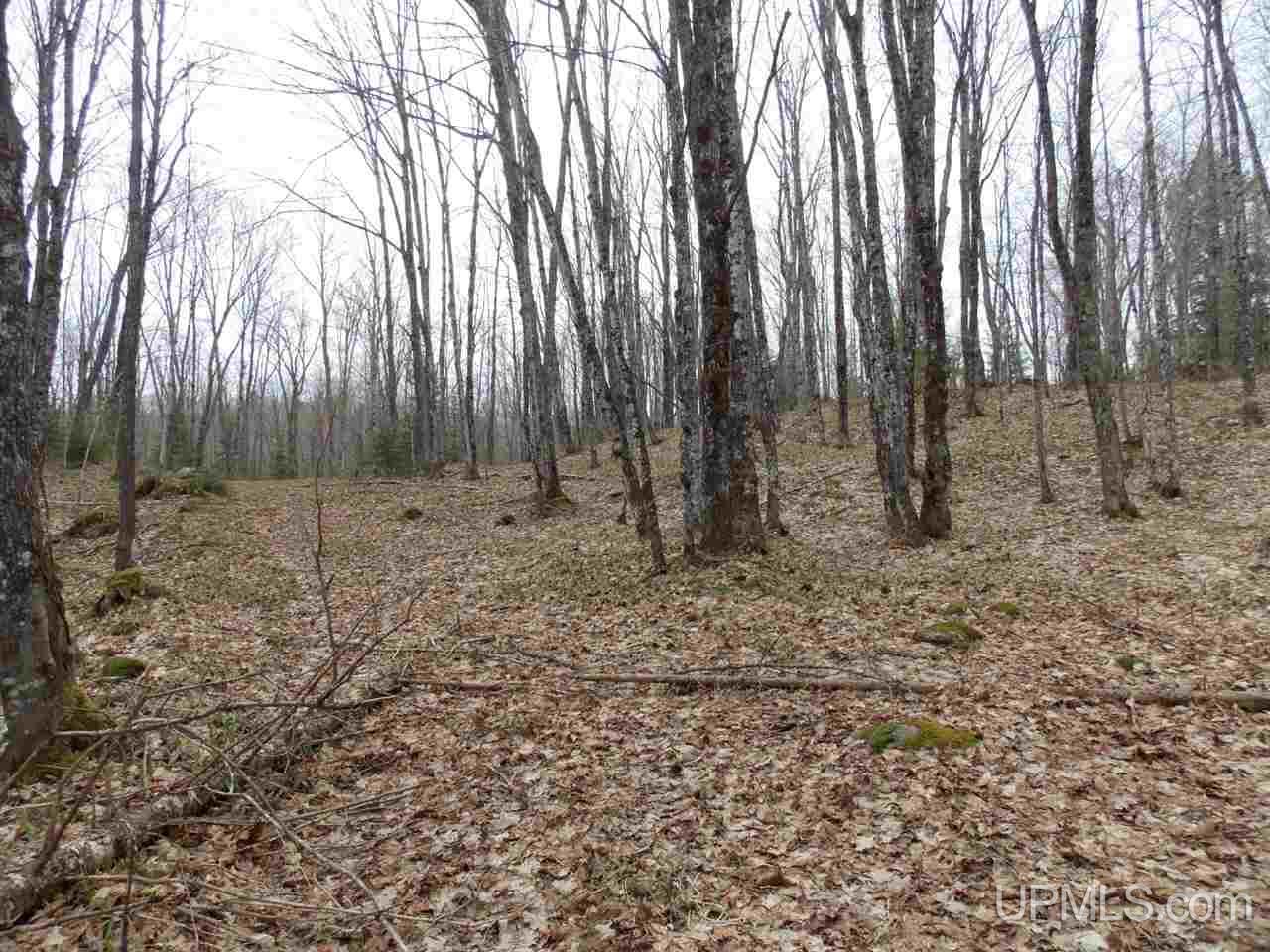 Tbd Tbd Off Hakkinen Road Lanse, MI 49946 - Photo 2 of 9