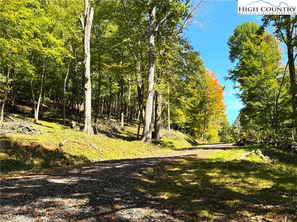 a view of back yard of the house