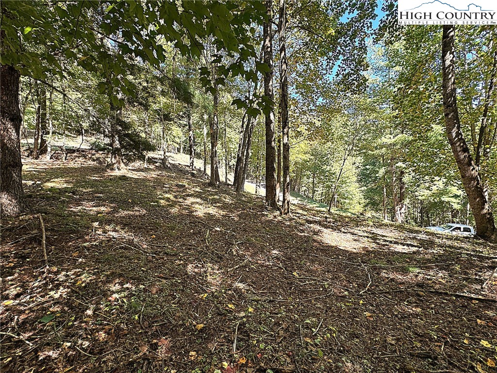 Mountain Avenue West Jefferson, NC 28694 - Photo 13 of 21 a view of tree