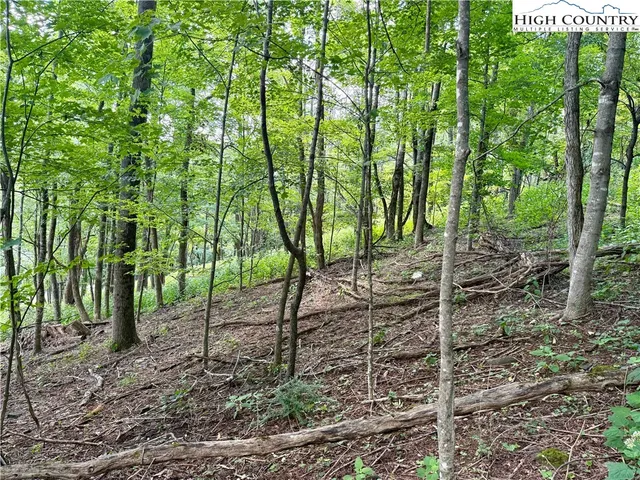 a view of outdoor space with deck and yard