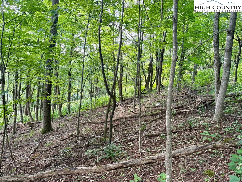 Mountain Avenue West Jefferson, NC 28694 - Photo 14 of 21 a view of outdoor space