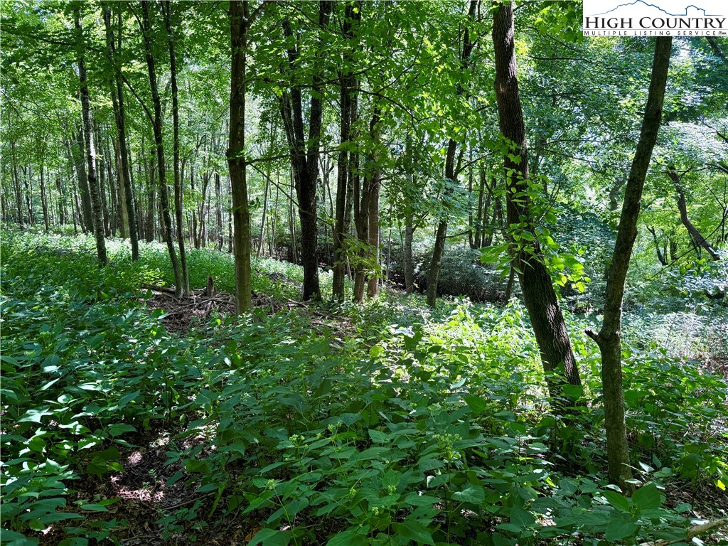 Mountain Avenue West Jefferson, NC 28694 - Photo 17 of 21 a backyard of a house with lots of green space