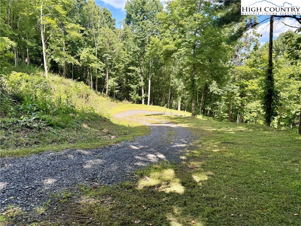Mountain Avenue West Jefferson, NC 28694 - Photo 20 of 21 a view of a yard with plants and trees