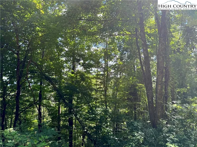 $219,000 | Mountain Avenue, West Jefferson, NC 28694