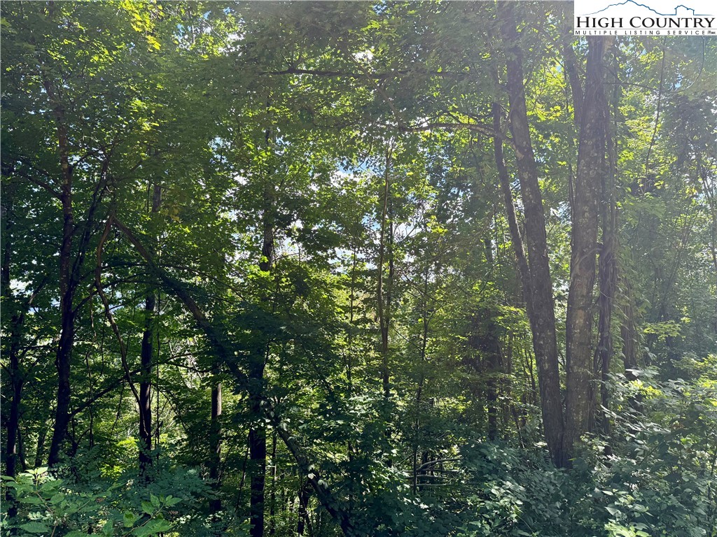 Mountain Avenue West Jefferson, NC 28694 - Photo 21 of 21 a view of a city from a tree