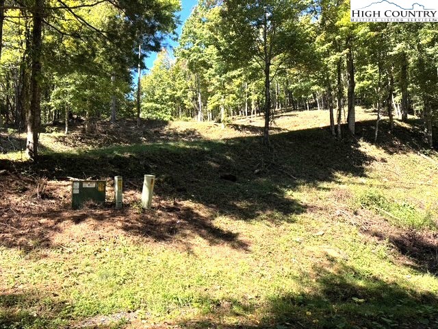 Mountain Avenue West Jefferson, NC 28694 - Photo 3 of 21 a view of a yard with a tree