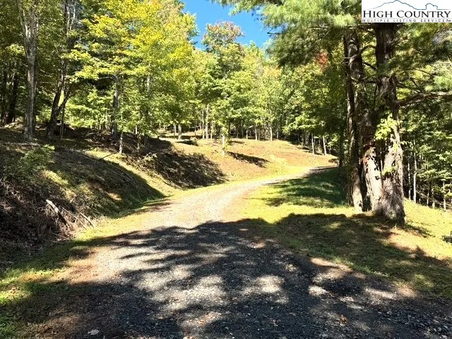a view of outdoor space with yard