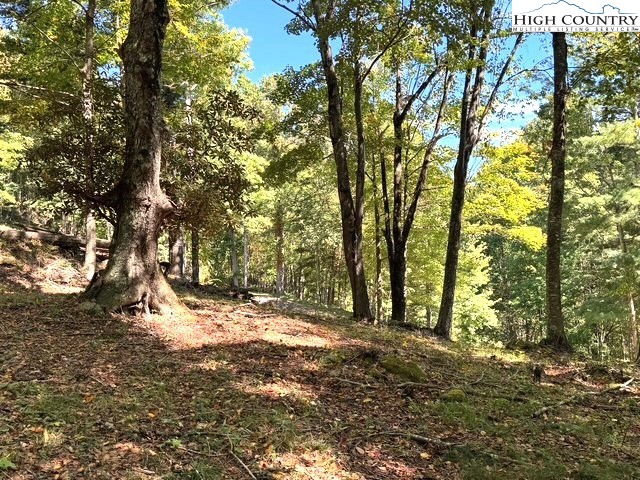 Mountain Avenue West Jefferson, NC 28694 - Photo 6 of 21 a view of outdoor space and yard