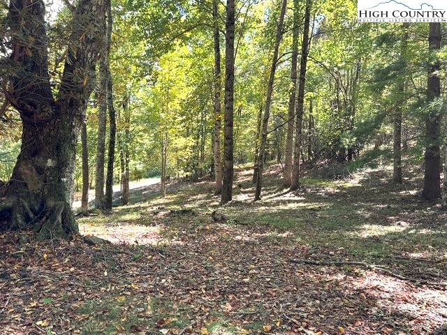 Mountain Avenue West Jefferson, NC 28694 - Photo 7 of 21 a view of a forest with trees