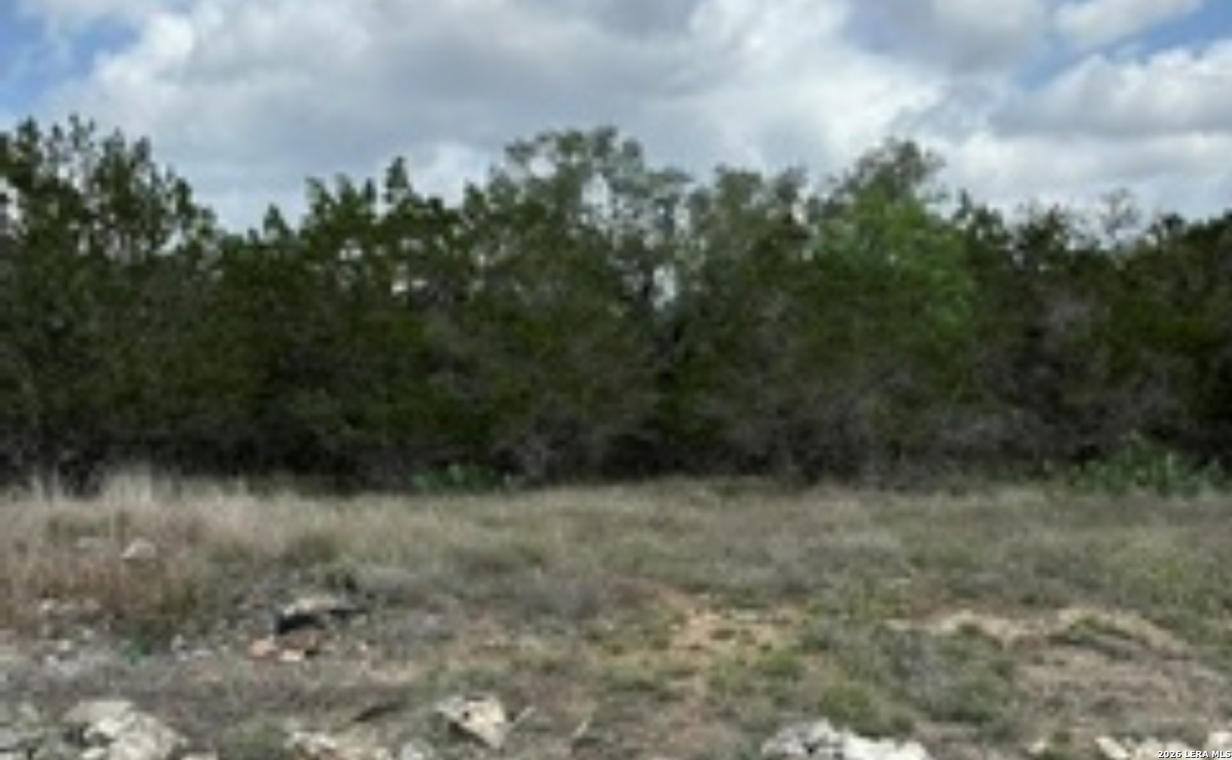 183 Fossil Spring Branch, TX 78070 - Photo 11 of 11