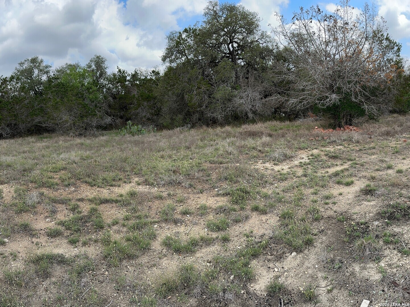 183 Fossil Spring Branch, TX 78070 - Photo 2 of 11 a view of a dry yard with trees