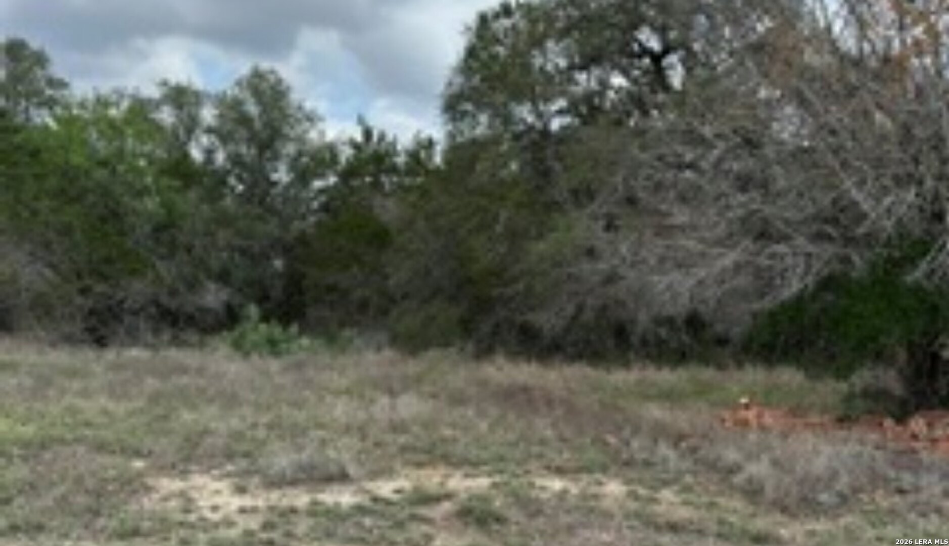 183 Fossil Spring Branch, TX 78070 - Photo 3 of 11 a view of a forest with a tree