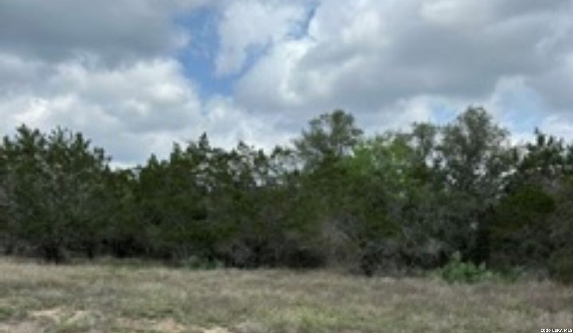 183 Fossil Spring Branch, TX 78070 - Photo 5 of 11 a view of a yard