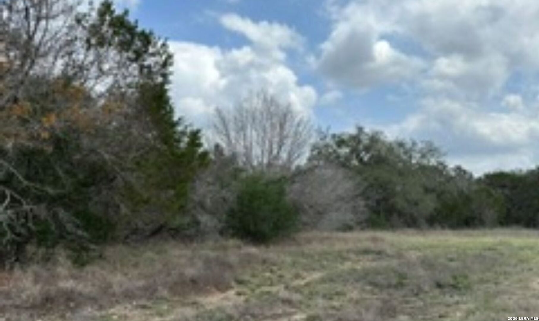 183 Fossil Spring Branch, TX 78070 - Photo 6 of 11 a view of a dry yard with trees in the background